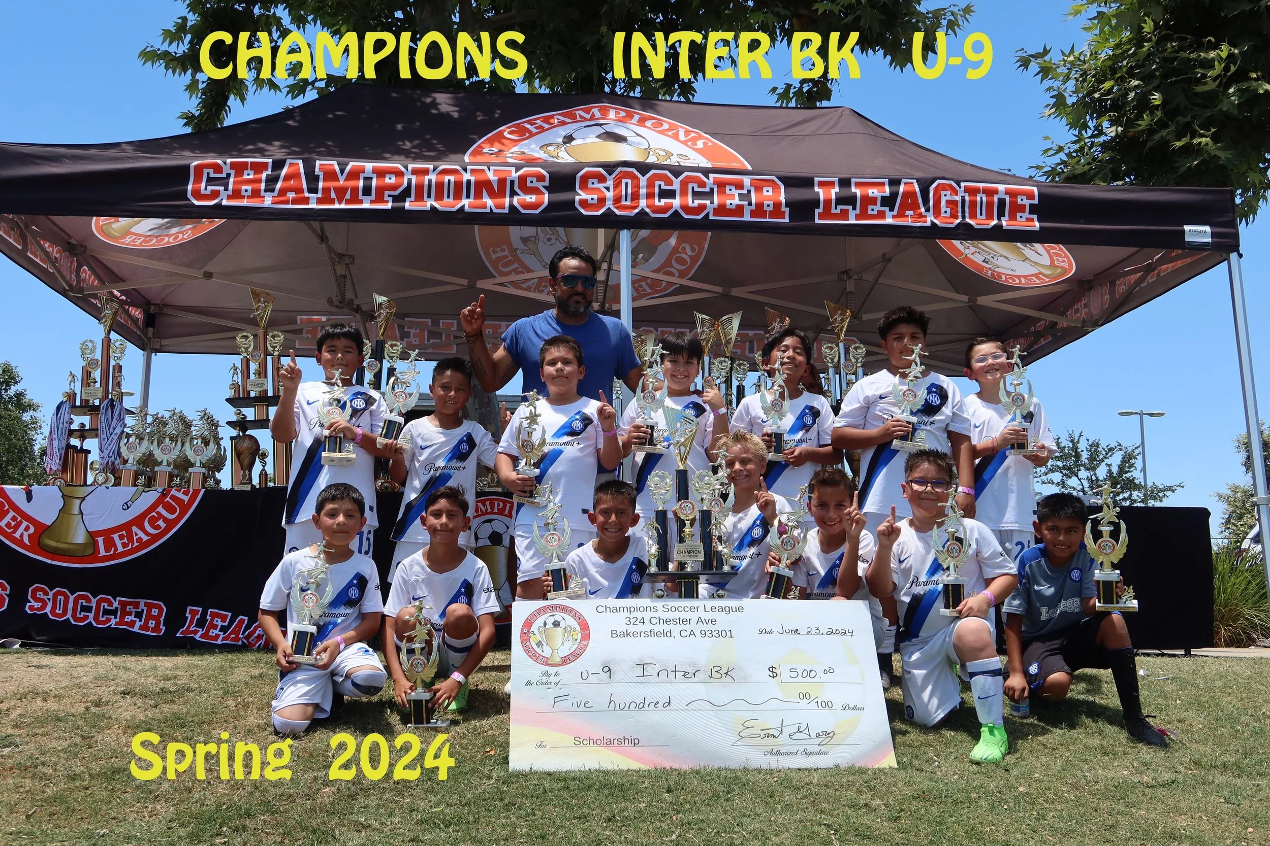 Sports League - Champions Soccer League
